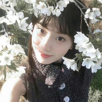 故乡：克莉莎与森林之主