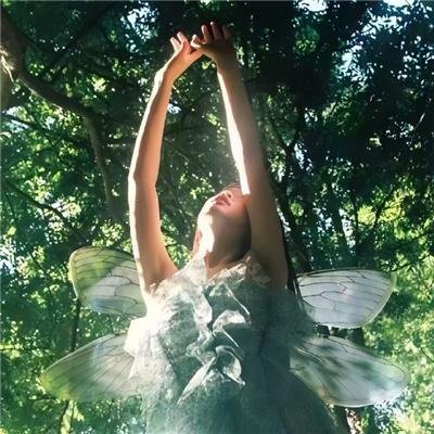 猫和老鼠传奇第二季